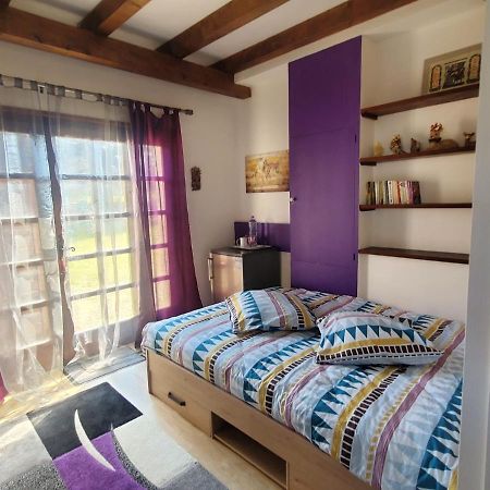 Maison Le Lezard Chez Amalia Et Fred Thonon-les-Bains Exterior foto