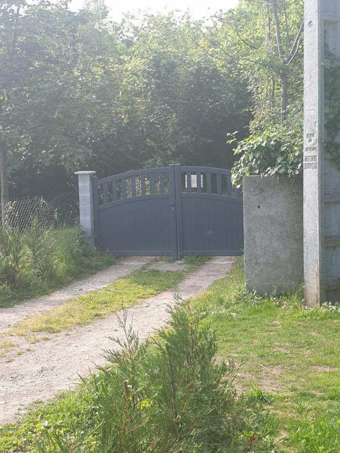 Maison Le Lezard Chez Amalia Et Fred Thonon-les-Bains Exterior foto